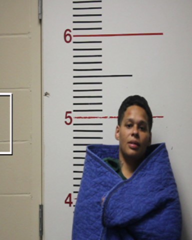 HODGE, JENNY VICTORIA booking photo