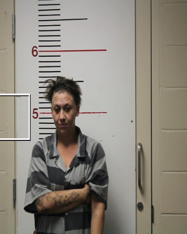 JOHNSON, SHELBY JANE booking photo