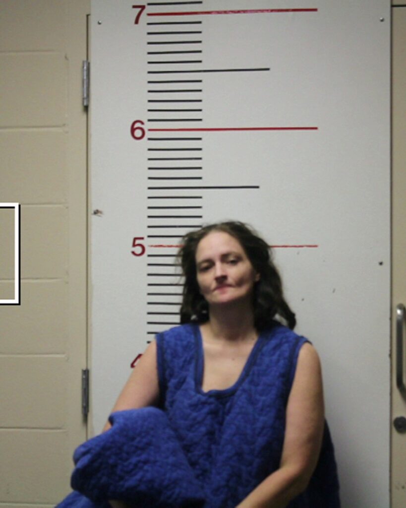 HUFF, TRACEY LYNN arrest record in Anderson County, Texas HUFF, TRACEY LYNN arrested in Anderson County, Texas mugshot