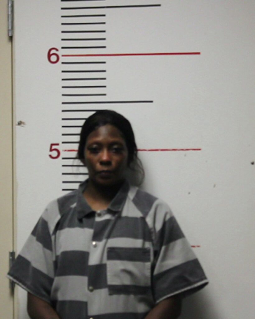 KING, DOMINIQUE DANELLE arrest record in Anderson County, Texas KING, DOMINIQUE DANELLE arrested in Anderson County, Texas mugshot