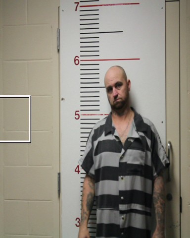 HOLEMAN, CHRISTOPHER DANIEL arrested by Anderson County SO/PD