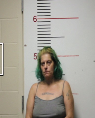 HERNANDEZ, JANEL DENISE booking photo