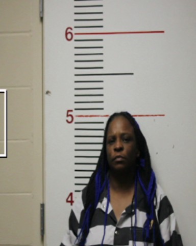 HAGIN, STEPHANIE ROCHELLE booking photo