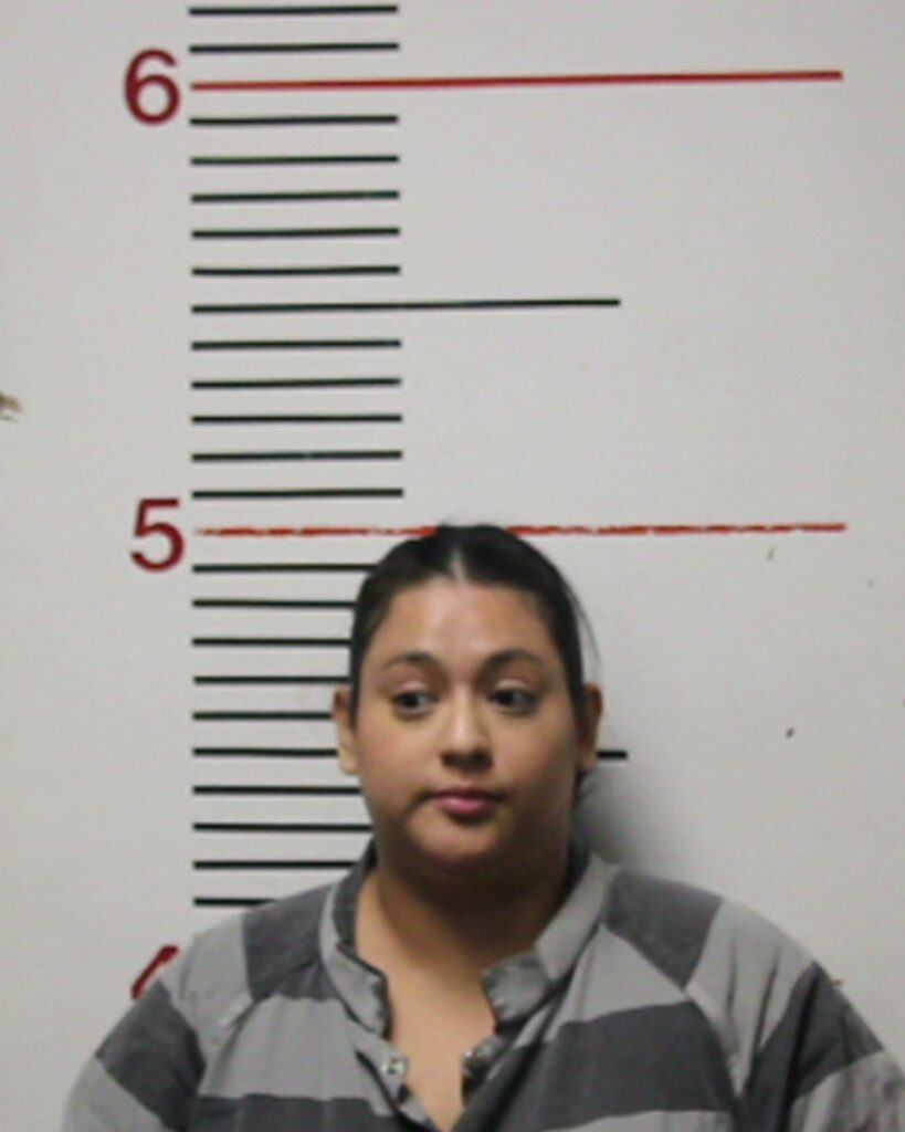 CASTILLO, ANA LAURA arrest record in Anderson County, Texas CASTILLO, ANA LAURA arrested in Anderson County, Texas mugshot