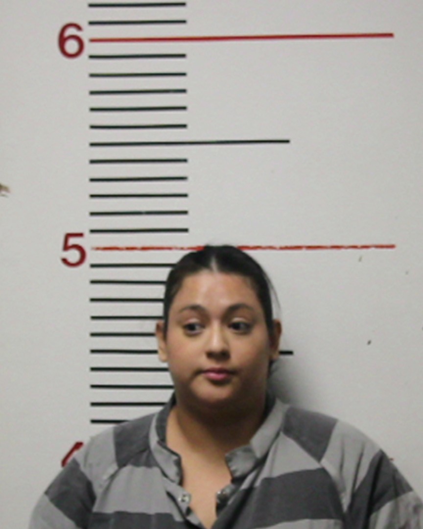 CASTILLO, ANA LAURA arrested by Anderson County SO/PD