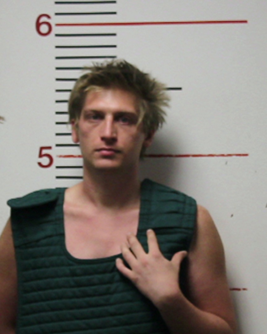 RICHARDSON, TRACY ALLEN booking photo