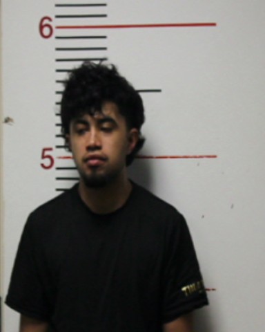 OLVERA, EMILIO JAVIER arrested by Anderson County SO/PD