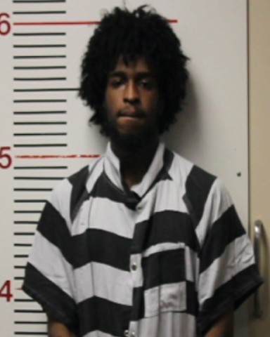 PURSLEY, ERIC KAVADRION DEWAINE booking photo