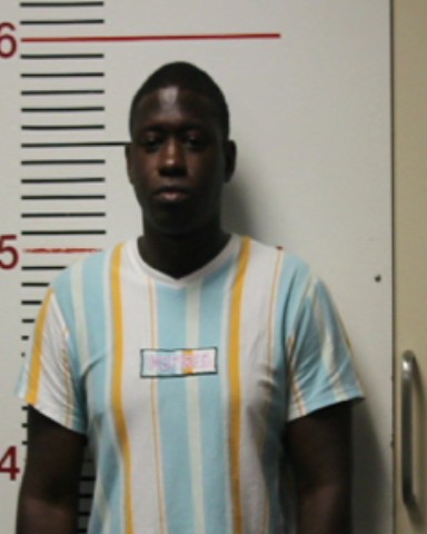 Mims, Charles Anthony, Jr. arrested by Anderson County SO/PD