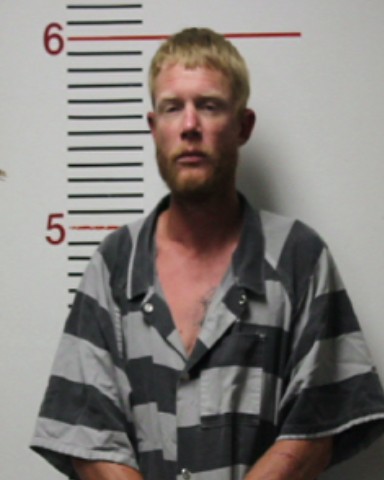 LEE, MICHAEL ANDREW booking photo