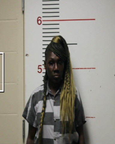 MORGAN, KIMBERLY ANN booking photo