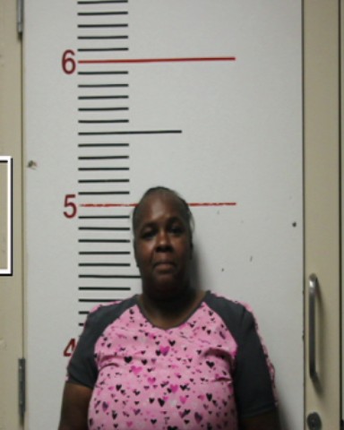 ANDERSON-BRAGER, TABATHA DEESHAWN booking photo