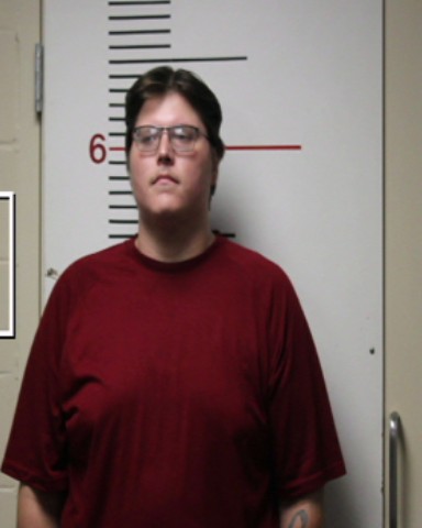 HINOJOSA, DALLAS LEE booking photo