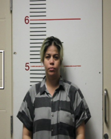 ROCHE-MELENDREZ, YANET LOURDES booking photo