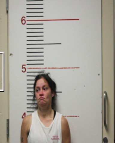 ALTON, DEBRA booking photo