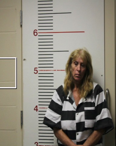 TIDWELL, BELINDA DAWN booking photo