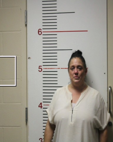 GANDY, LOGAN ALAINE booking photo