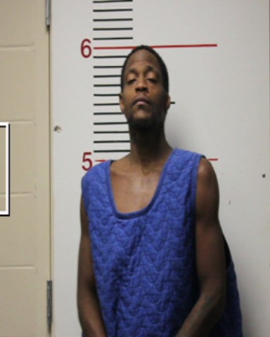 LOTT, ERNEST DESHAY, Jr. booking photo