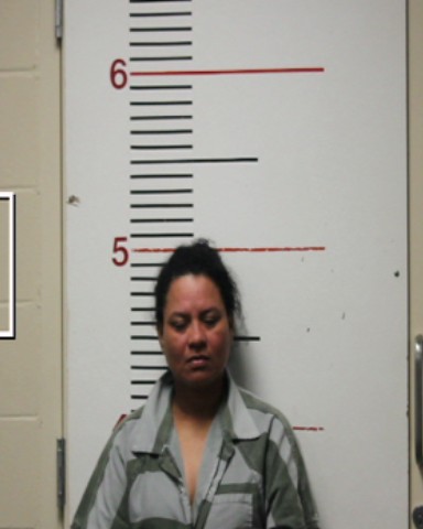 MENDOZA, NORMA GUERRA booking photo