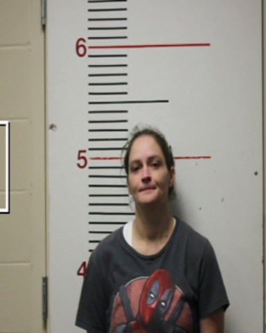 HUFF, TRACEY LYNN booking photo