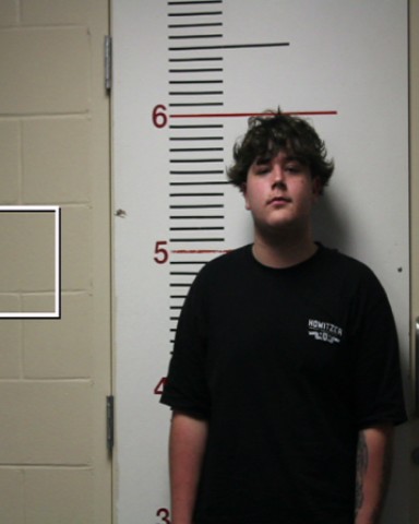 BRIDGES, HUNTER KEITH booking photo