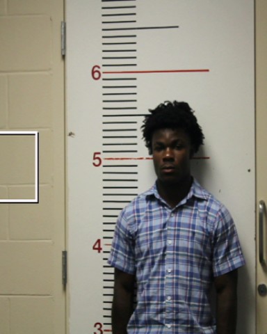 WHITE, HAROLD LYNN booking photo