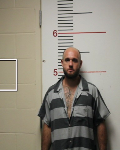 MELSON, JUSTIN DANELL booking photo