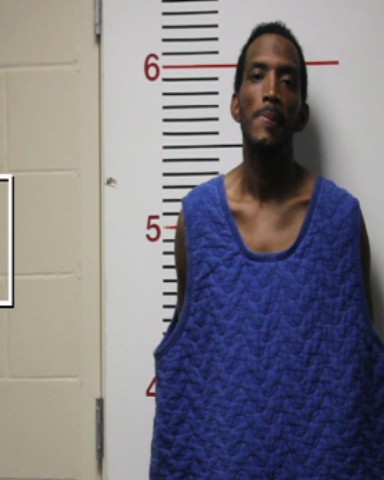 STUBBLEFIELD, LEE ROY, Jr. booking photo