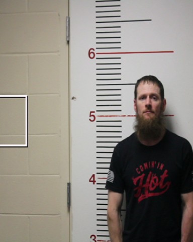 DREES, DAVID LEE booking photo