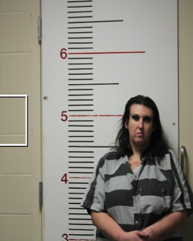JONES, CHELSEA NICOLE booking photo
