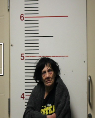 FERGUSON, CYNTHIA JEAN booking photo