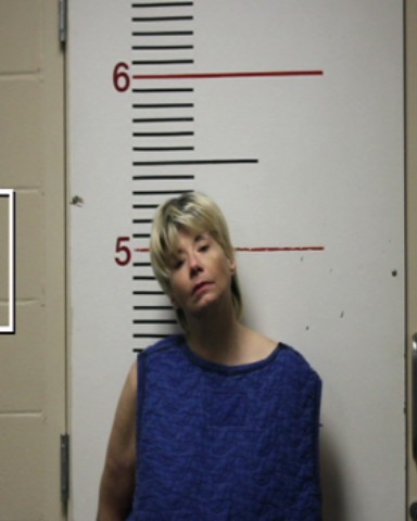 SANDERS, NIKIA SHEA booking photo