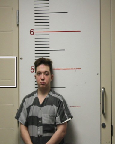 WUENSCH, ANDREW STELE booking photo