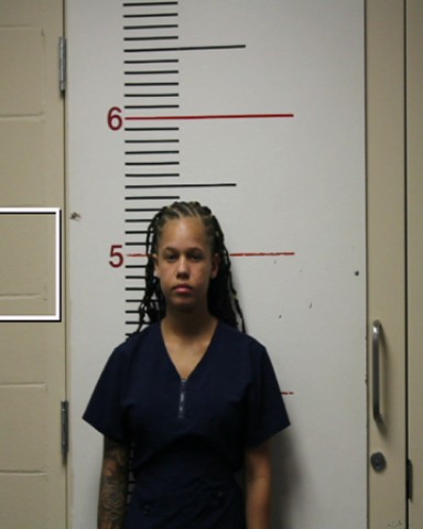FLOWERS, ALEXIS NICOLE booking photo