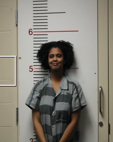 WILLIAMS, BRIANNA booking photo