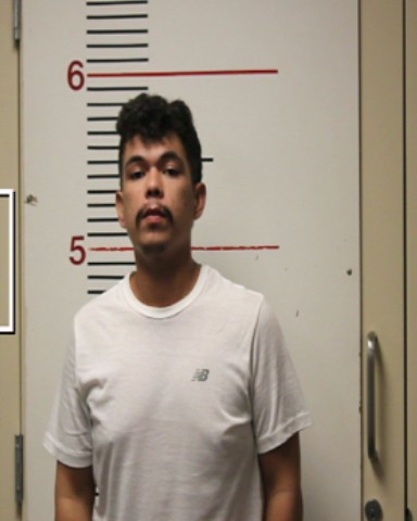 TREJO-PEREZ, JUAN booking photo