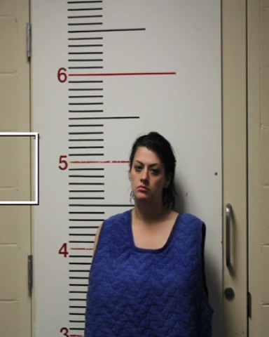 METZIG, CHELSEA MICHELLE booking photo