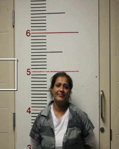 GARZA, ROSEANN SERRANO booking photo