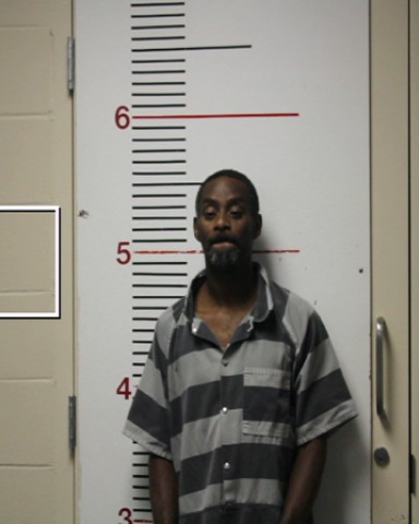 DAVIS, SHANON DEWAYNE booking photo