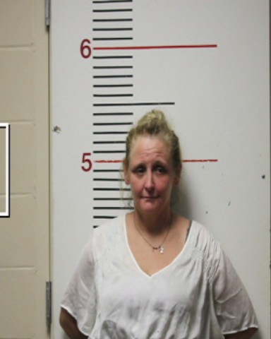 JOHNSTON, CATHERINE ANN booking photo