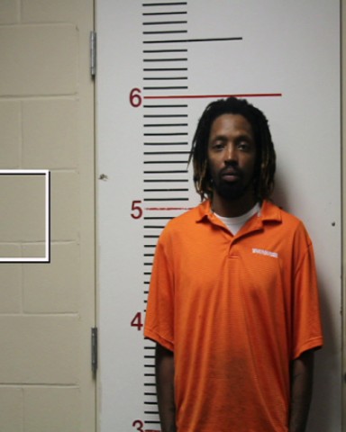 PURVIS, DELBERT LEON, Jr. booking photo