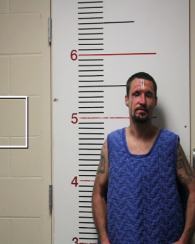 MCADAMS, JOSHUA DAVID booking photo