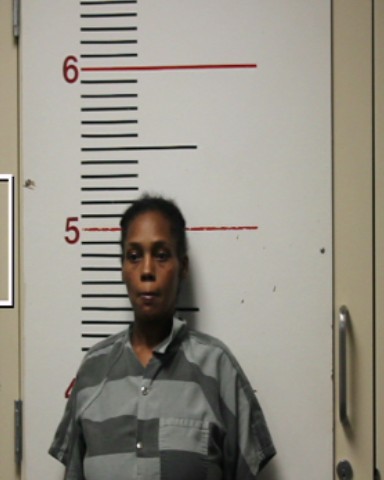 MCMORRIS, BRITTANY OLIVIA booking photo