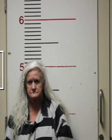 DEHAES, ALYSON ARDINEAUX booking photo