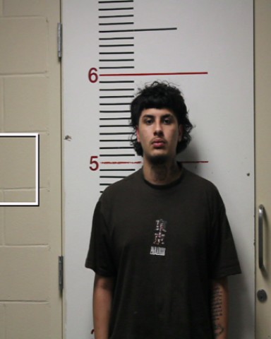 SALINAS, DAMIAN OMAR booking photo