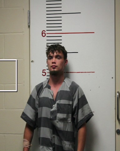 SMITH, TYLER LEE booking photo