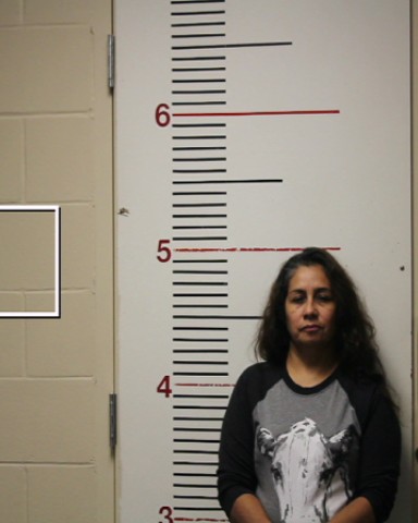 MARTINEZ, MARIA DEL ROSARIO booking photo