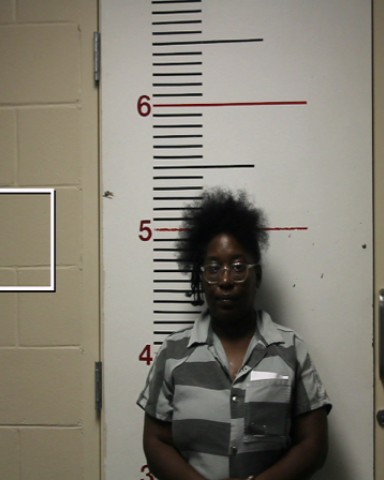 JOHNSON, NIKKY NICOLE booking photo