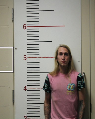 RICHARDSON, NATHANIEL DEAN booking photo