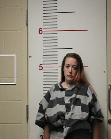 VERNON, LEAH ANN booking photo